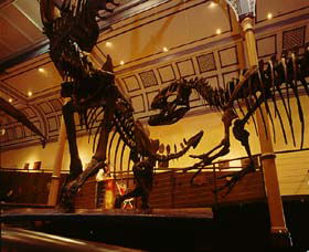 Australian Museum - E Caravan Parks 1