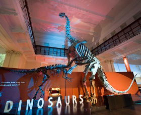 Australian Museum - E Caravan Parks 0
