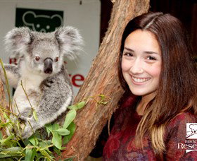 Blackbutt Reserve - E Caravan Parks 0