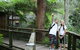Blackbutt Reserve - thumb 1