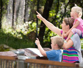 Blackbutt Reserve - E Caravan Parks 4