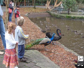 Blackbutt Reserve - E Caravan Parks 5