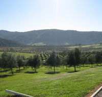 Hastings Valley Olives - E Caravan Parks