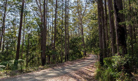 Hastings Forest Way Touring Route - E Caravan Parks 1