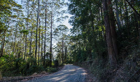 Hastings Forest Way Touring Route - E Caravan Parks 3