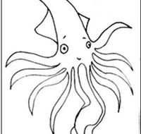 Squid Studio - E Caravan Parks