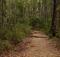 Pigeon House Mountain Didthul walking track - E Caravan Parks