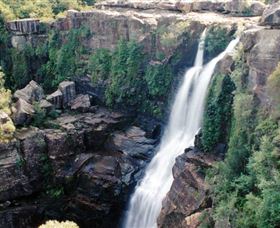 Minnamurra Rainforest Centre: Budderoo National Park - E Caravan Parks 0