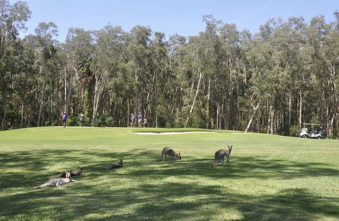 Emerald Downs Golf Course - E Caravan Parks 4