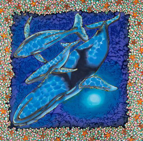 Sea Silks Gallery - E Caravan Parks 2