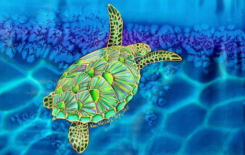 Sea Silks Gallery - E Caravan Parks 5