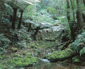 The Corn Trail Walk - E Caravan Parks 0