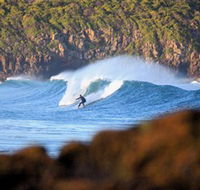 Killalea Beach - E Caravan Parks