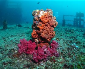 HMAS Brisbane Dive Site - E Caravan Parks 0
