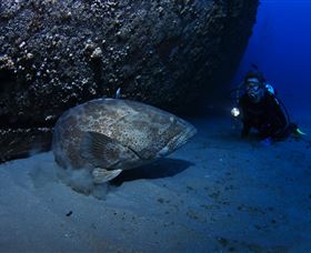 HMAS Brisbane Dive Site - E Caravan Parks 3