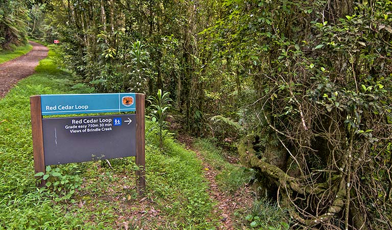 Border Ranges NSW E Caravan Parks