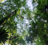 Botanic walk - E Caravan Parks