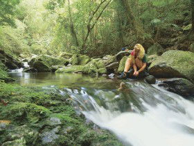 Dave's Creek Circuit - E Caravan Parks 0