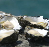 Jim Wilds Oyster Service - E Caravan Parks