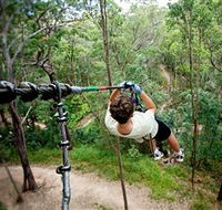 TreeTop Challenge - E Caravan Parks