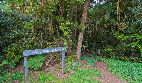 Falcorostrum Loop Walking Track - E Caravan Parks 0