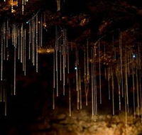 Tamborine Mountain Glow Worm Caves - E Caravan Parks