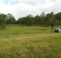 Numinbah Valley Adventure Trails - E Caravan Parks