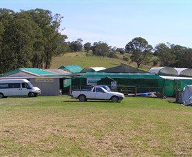 Tinonee Orchid Nursery - E Caravan Parks 0