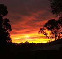 Tinonee Museum - E Caravan Parks