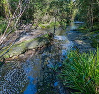 Dawson River walking track - E Caravan Parks