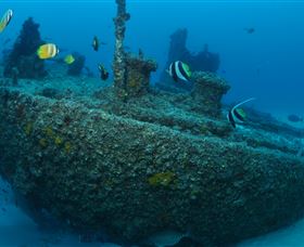 Curtain Artificial Reef Dive Site - E Caravan Parks 1