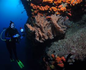 Gotham City Dive Site - E Caravan Parks 0