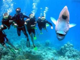 Henderson's Rock Dive Site - E Caravan Parks 0