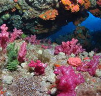 Cherubs Cave Dive Site - E Caravan Parks