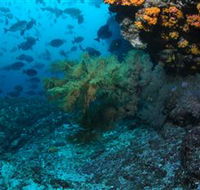 Henderson Rock Dive Site - E Caravan Parks