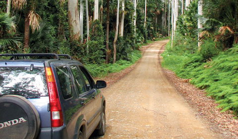Wallingat National Park - E Caravan Parks 2