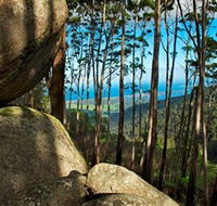 Mount Gulaga Mount Dromedary Walk - E Caravan Parks