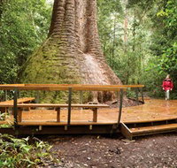 Burrawan State Forest - E Caravan Parks