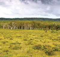 Yuraygir National Park - E Caravan Parks