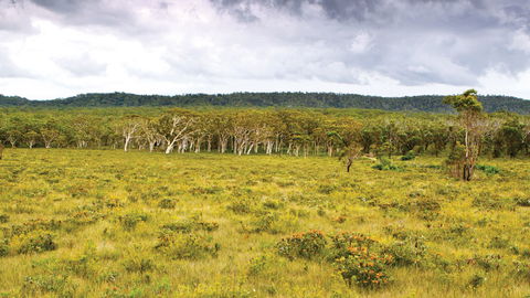 Yuraygir National Park - E Caravan Parks 0