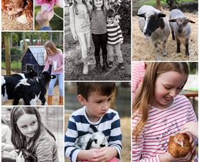 Roses Vineyard And Animal Farm - E Caravan Parks 1