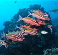 Flat Rock Dive Site - E Caravan Parks