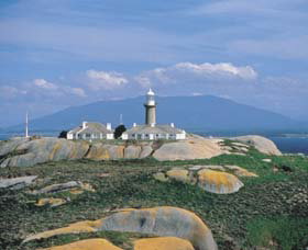 Montague Island Nature Reserve - E Caravan Parks 0