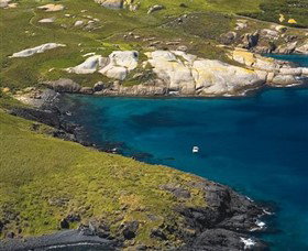 Montague Island Nature Reserve - E Caravan Parks 1