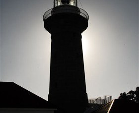 Montague Island Nature Reserve - E Caravan Parks 4