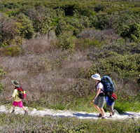 Yuraygir coastal walk - E Caravan Parks