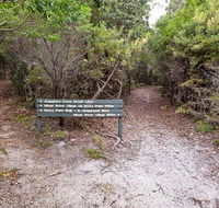 Angophora grove walking track - E Caravan Parks