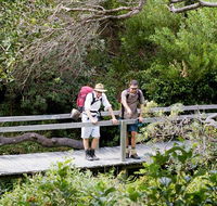 Wilsons Headland walking track - E Caravan Parks