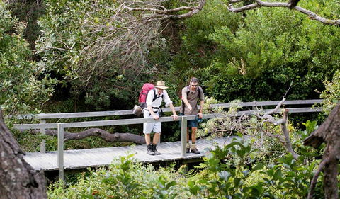 Wilsons Headland Walking Track - E Caravan Parks 0