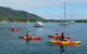 Dunbogan Boatshed - thumb 1